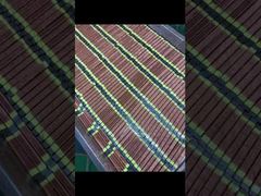 لامپ ضدآفتاب UV با شدت بالا 20000 ساعت طول عمر برای چاپگر جوهر